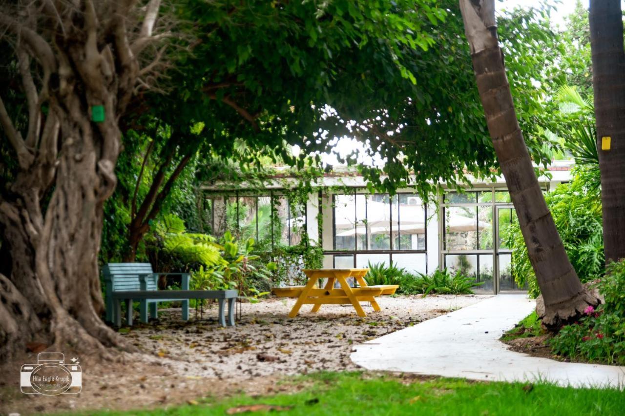 Eden Inn Zikhron Ya'akov Dış mekan fotoğraf
